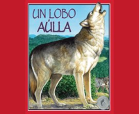 Un_Lobo_A__lla__One_Wolf_Howls_